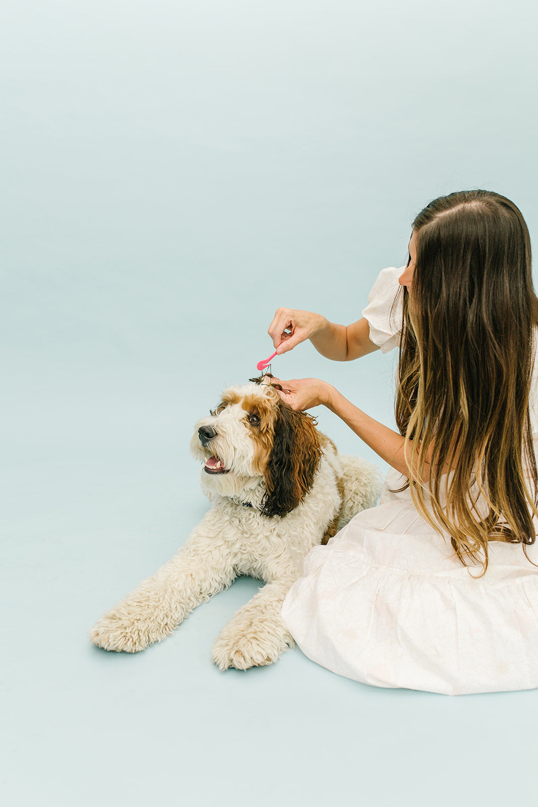 PET PONYPICK® Hair Elastic Remover + Elastics
