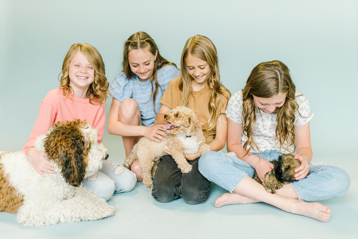 PET PONYPICK® Hair Elastic Remover + Elastics