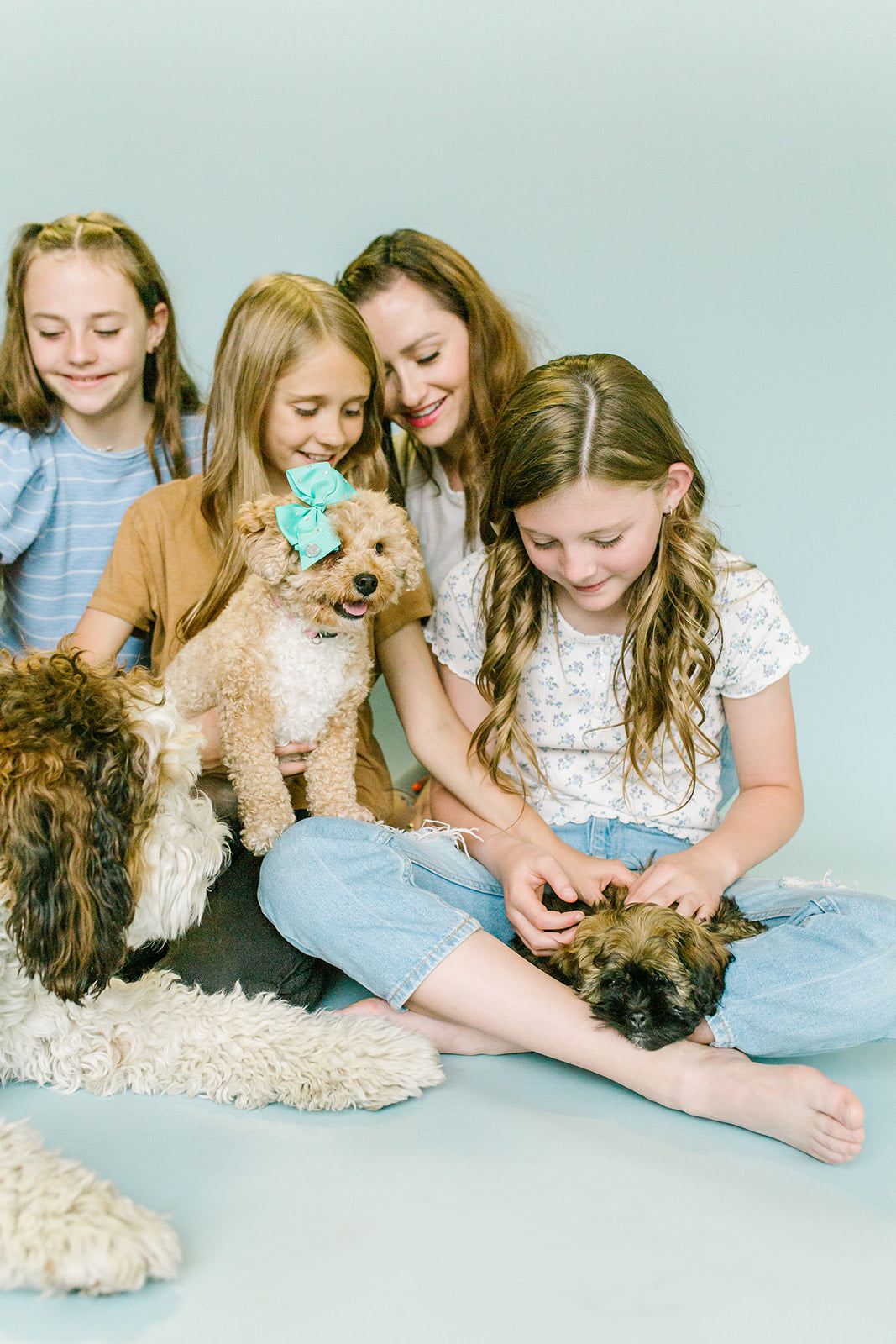PET PONYPICK® Hair Elastic Remover + Elastics