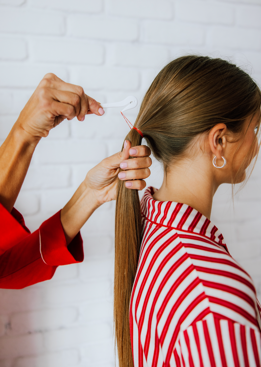 Holiday Elastic Set + 1 White Pony Pick